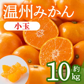 【ふるさと納税】＜先行予約！2024年10月上旬以降順次発送予定＞香川県産 温州みかん (約10kg/小玉)国産 果物 果実 くだもの フルーツ みかん 蜜柑 産地直送 ミニ 小さい ミカン オレンジ 柑橘 【man079】【Aglio nero】