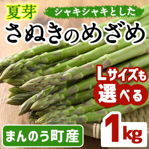 yӂ邳Ɣ[ŁzԌI2025N6{ȍ~LTCYIׂ遄ĉIʂ̂߂ (1kg) AXpKX Y 쌧 ① O[ {yman084Eman086zyAglio neroz