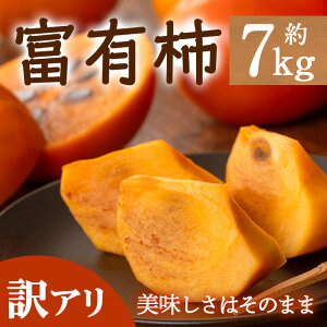 yӂ邳Ɣ[Łzs\I2025N10{ȍ~\聄󂠂Eƒp쌧Y xL`(7kg)Y ʕ ʎ  t[c `  H  Yn { yman087zyAglio ne