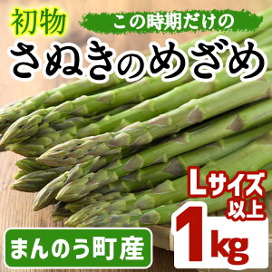 yӂ邳Ɣ[Łzs\I2026N2{ȍ~\聄IAXpKX ʂ̂߂ (1kg/LTCYȏ) Y  AXp ① O[ { Yn yman091zyAglio neroz