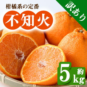 yӂ邳Ɣ[Łzs\I2026N2{ȍ~\聄󂠂Eƒp쌧Y sm(5kg) ʂ sm k t[c Yn VN  쌧 Y ʕ ӂ[ { 