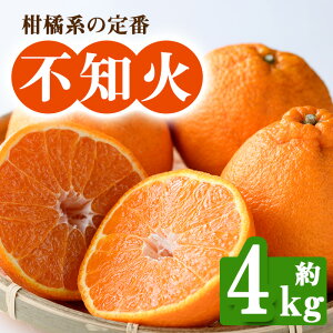 yӂ邳Ɣ[Łzs\I2026N2{ȍ~\聄쌧Y sm(4kgj ʂ sm k t[c Yn VN  쌧 Y ʕ ӂ[ { lC  y