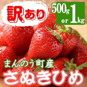 yӂ邳Ɣ[Łzs\I2026N3{ȍ~\聄󂠂聄Iׂeʁ쌧Y ʂЂ߂(500gE1kg)Y ʕ   C`S t[c Yn VN 