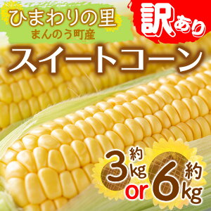 yӂ邳Ɣ[Łzs\I2026N6{ȍ~\聄󂠂EƒpCG[R[(3kgE6kg)gERV Ƃ낱 Yn Y  R[ Yn VN 쌧 