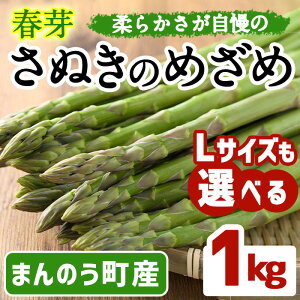 yӂ邳Ɣ[Łzs\I2026N2{ȍ~\聄LTCYIׂ遄tIAXpKX ʂ̂߂ (1kg/ʏTCYELTCYȏ)  AXpKX AXp Yn