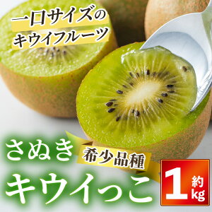 yӂ邳Ɣ[Łzs\I2025N11{ȍ~\聄 ʂLEC (1kg) LEC LEC uh t[c Yn VN  쌧 Y ʕ ӂ[ { lC 