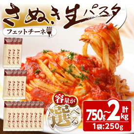 【ふるさと納税】＜容量が選べる＞ さぬき生パスタ (フェットチーネ) (750g・1kg・2kg) パスタ スパゲッティ スパゲティ デュラムセモリナ アルデンテ コシ もちもち さぬき 半生 小麦 麺 常温 常温保存 【man189・man190・man191】【こんぴらや販売】