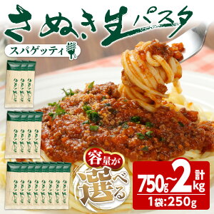【ふるさと納税】<容量が選べる> さぬき生パスタ (スパゲッティ) (750g・1kg・2kg) パスタ スパゲッティ スパゲティ デュラムセモリナ アルデンテ コシ もちもち さぬき 半生 小麦 麺 小分け