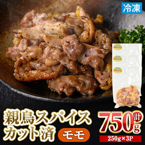 yӂ邳Ɣ[ŁzʌEJbgρ e  XpCX Jbg (v750gE250g×3P) Y   { e{ ǂ Ƃ { {  pbN  t  `L