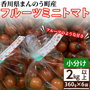 yӂ邳Ɣ[ŁzԌI2025N6{ȍ~\聄t[c~jg}g(360g×6܁E2.16kg) Y  g}g ~jg}g t[cg}g  T_ ٓ x Yn V