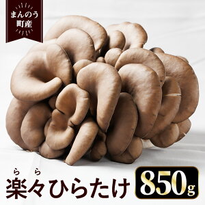 �y�ӂ邳�Ɣ[�Łz�����Ԍ���I2025�N12����{�ȍ~���������\�聄�y�X�Ђ炽��(��850g) ���Y ��� ���̂� �Ђ炽�� �q���^�P �����q���^�P ���y�ۏ� �Y�n���� �V�N �V�o�� �yman348�z�y�N�Y�n��