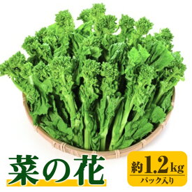 【ふるさと納税】＜先行予約！2026年12月中旬以降順次発送予定＞菜の花(約1.2kg/パック入り) なの花 春 春野菜 野菜 産地直送 新鮮 香川 香川県 特産 果物 ベジタブル 旬 人気 お取り寄せ 【man355】【Aglio nero】