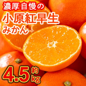 【ふるさと納税】<先行予約!2025年11月下旬以降順次発送予定>香川県産 小原紅早生みかん(約4.5kg) 国産 果物 果実 くだもの フルーツ みかん 蜜柑 新登場 【man358】【Aglio nero】