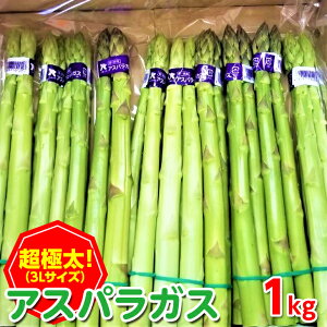 yӂ邳Ɣ[Łzs\I2026N2{ȍ~\聄ɑAXpKX(1kg/3LTCY) Y  AXp Yn  VN ① yman095zyAglio neroz