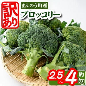 yӂ邳Ɣ[Łzs\I2026N2{ȍ~\聄󂠂EƒpIׂpʁ쌧Y ubR[(2.5kgE4kg)Y NxQ  Yn VN ① yman058Eman