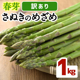 【ふるさと納税】＜先行予約！2026年2月下旬以降順次発送予定＞＜訳あり・家庭用＞春芽！アスパラガス「さぬきのめざめ」(約1kg)国産 野菜 アスパラガス アスパラ 産地直送 新鮮 冷蔵便 【man118】【Aglio nero】