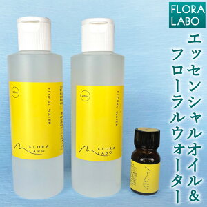 yӂ邳Ɣ[ŁzFLORA LABO GbZVICEt[EH[^[ 䂸 2Zbg v3{ Ysgp RR100% 툳o Mq IC [Xv[ XLPA lXv[ 