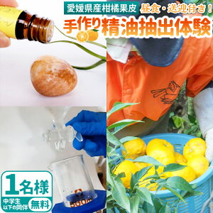 yӂ邳Ɣ[Łz萸ǒ k  A}IC GbZVIC  ̌ ANeBreB [NVbv 䂸 ͓ӊ CJ Éāi464jyЂ߂̒ij