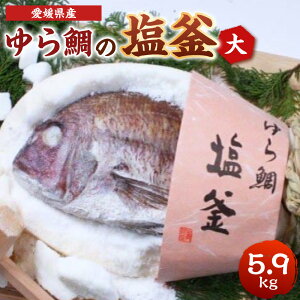 yӂ邳Ɣ[Łz̉ij1 5.9kg  ^  ^C  Ă    CN j j n̓ Hi ① 󐅎Y Y Rǔ Q  Ε 