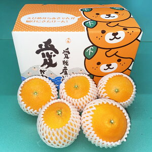 �y�ӂ邳�Ɣ[�Łz���ʌ���I���Q���ʎ������Z���^�[���͔|�I����28�� ���Q�ʎ���28�� 2kg 1�� �݂��� �~�J�� ���� ���k �t���[�c �ʕ� �{ �f�U�[�g ������ ���Y ���Q�� �퉷 ���������y2026