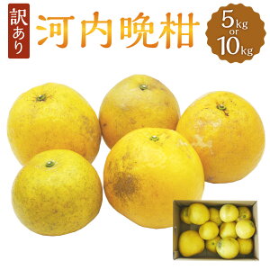 �y�ӂ邳�Ɣ[�Łz�󂠂� �͓��ӊ��q�I�ׂ�r��5kg �܂��� ��10kg ���k ���k�� �݂��� ���� �t���[�c �ʕ� �ʎ� �s���� �~�b�N�X �T�C�Y ���Y ���Q�� �������� �y2026�N4����{��菇�������z�y