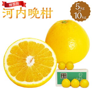 �y�ӂ邳�Ɣ[�Łz�����p �͓��ӊ��q�I�ׂ�r��5kg �܂��� ��10kg ���k ���񂫂� ���k�� �݂��� ���� �t���[�c �ʕ� �v���[���g ������ ���Y ���Q�� �������� �y2026�N4����{��菇�������z