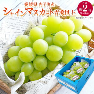 yӂ邳Ɣ[ŁzqY VC}XJbg Gȏ 3`5[ 2kg Ԃǂ uhE  t[c }XJbg ʕ ʎ QY Y l Q y2025N8{`9{