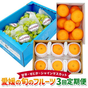 yӂ邳Ɣ[ŁzQ̏{̃t[c 3 ( Õ E Ƃ E VC}XJbg j ݂ ~J k }XJbg Ԃǂ uhE ʕ t[c  fU[g  퉷 