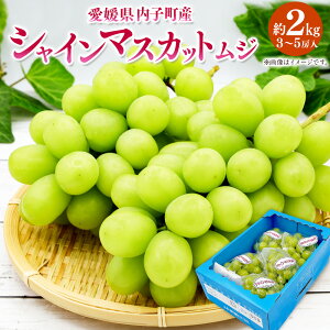 yӂ邳Ɣ[ŁzqY VC}XJbg W 3`5[ 2kg Ԃǂ uhE }XJbg  t[c ʕ ʎ Y l Q  (444)y2026N8{`10{\z