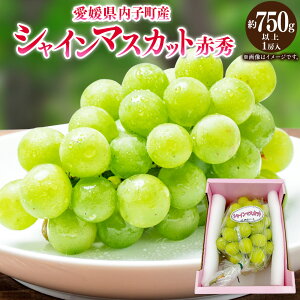 yӂ邳Ɣ[ŁzqY VC}XJbg ԏG 1[ 750gȏ Ԃǂ uhE  }XJbg t[c ʕ ʎ QY Y l Q  (447) y2026N8{`9{