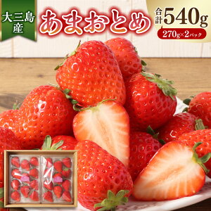 yӂ邳Ɣ[ŁzOY ܂Ƃ 270g×2pbN v540g   C`S x[ ʕ t[c fU[g  Y Q ① y2026N1{-5{\z(507) 