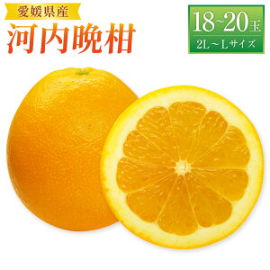 yӂ邳Ɣ[Łz͓ӊ FaS[h 2L`LTCY 18`20ʑO ݂ ~J  k t[c ʕ ʕ  Fa  fU[g  퉷  y2026N4{`2026