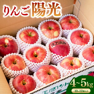 yӂ邳Ɣ[Łz z  4`5kg 10`12 1 t[c ʕ S ь  fU[g  QY Y 퉷  (530-1)y2025N10{`10{\zy