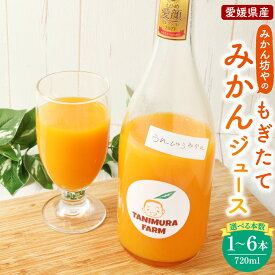 【ふるさと納税】みかんジュース コンクール金賞 みかん坊やのもぎたてみかんジュース 720ml〈選べる〉1本 / 2本 / 4本 / 6本 オレンジジュース 無添加 果汁100％ ストレート うんしゅうみかん 蜜柑 柑橘 飲料 愛媛県 送料無料(558)(559)(560)(561)