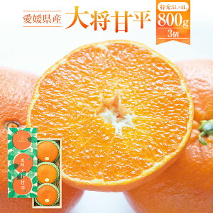 yӂ邳Ɣ[ŁzQY 叫Õ G 3LE4LTCY 800g 3 Õ ؂ ݂ ~J  k ʕ  t[c  fU[g Y Q y2026N2{`2