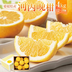 �y�ӂ邳�Ɣ[�Łz���Q���Y �͓��ӊ� ��4kg 12�`14�� �݂��� �~�J�� ���� ���k �ʕ� �������� �t���[�c ����� �f�U�[�g ���Y ���Q�� ���������y2026�N5�����{�`6����{�����\��z(873)