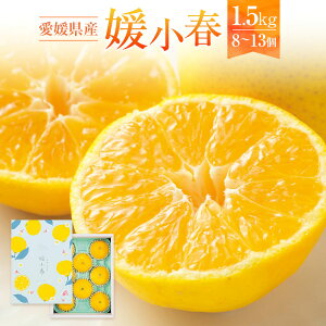 yӂ邳Ɣ[ŁzQY Qt 1.5kg 8`13 󏭕i ݂ ~J  k ʕ  t[c  fU[g Y Q y2026N1{`2{\z(874) y