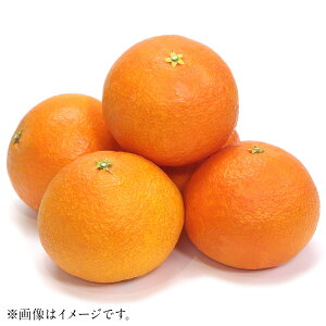 yӂ邳Ɣ[Łzg܂ǂ 4L`L 3kg ݂  ʕ t[c k fU[g   Y Q y2025N12{-2{\z(817) yVX[p[SALE 9J