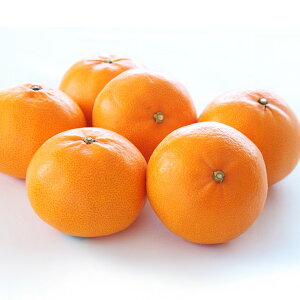 yӂ邳Ɣ[ŁzƂ 4L`LqIׂr3kg(ϔ) or 5kg(ʏ픠) ݂  ʕ t[c k fU[g   Y Q y2026N2{-4{\