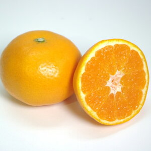 yӂ邳Ɣ[Łz͂Ђ 2L`M 5kg ݂  ʕ t[c k fU[g   Y Q y2026N1\z(822) yVX[p[SALE 9J