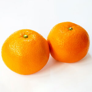 yӂ邳Ɣ[Łzɗ\ 3L`M 9kg 悩 ݂  ʕ t[c k fU[g   Y Q y2026N1{-3{\z(823) yVX[p[SALE 9J