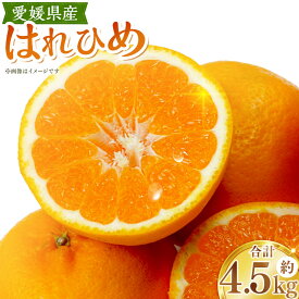 【ふるさと納税】 はれひめ 約4.5kg 3L～S 柑橘 かんきつ フルーツ くだもの 果物 果実 デザート 愛媛県産 国産 愛媛県 送料無料 【2026年12月下旬～2027年1月上旬発送予定】（1121）