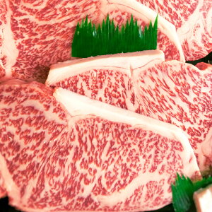 yӂ邳Ɣ[ŁzQY јa  Â T[C ēpqIׂr600g`1.8kg    ē ₫ɂ BBQ a ~ Ⓚ Y l Q  (637)(638)(639)(640)