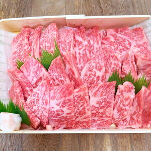 yӂ邳Ɣ[ŁzQY јa  Â u[X ēpqIׂr450g`1.95kg    ē ₫ɂ BBQ a ~ Ⓚ Y l Q  (649)(650)(651)(652)(653) 