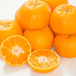 yӂ邳Ɣ[Łzy󂠂z ۂ񂩂qIׂr5kg or 10kg ݂  ʕ t[c k fU[g   Y Q y2026N1{`2{\zy