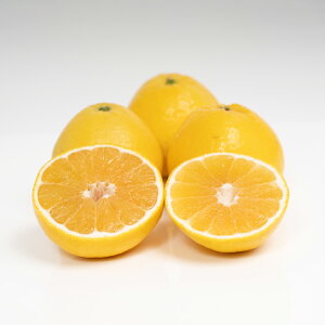 �y�ӂ邳�Ɣ[�Łz�y�󂠂�z �͓��ӊ��q�I�ׂ�r��5kg or ��10kg �݂��� ���� �ʕ� �t���[�c ���k �f�U�[�g ����� ������ ���Y ���Q�� ���������y2026�N4�����{�`5�����{�����\��z�y����