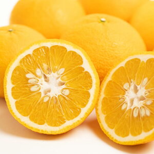 �y�ӂ邳�Ɣ[�Łz�y�󂠂�z�É� ��10kg �T�C�Y�~�b�N�X 25�`30�ʑO�� �݂��� ���� �ʕ� �t���[�c ���k �f�U�[�g ����� �ƒ�p ���Y ���Q�� ���������y2026�N2�����{�`3�����{�����\��z�y����