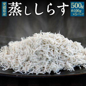 yӂ邳Ɣ[Łz̏炷 500g 100g×5pbN 炷 炷 VX   CY ͂̂    Ⓚ Y QY Q yЂ
