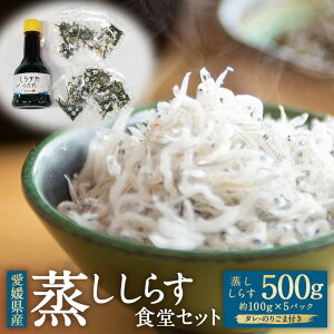 yӂ邳Ɣ[Łz炷 HZbg 500g 100g×5pbN ̂育 ^t 炷 VX 炷   CY ͂̂    Ⓚ Y QY 