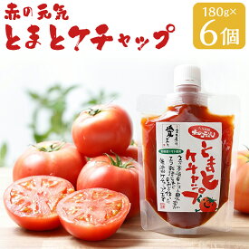 【ふるさと納税】赤の元気 トマトケチャップセット 6個ドライトマト付 久万高原町産トマト ケチャップ トマト 完熟 野菜 常温 調味料 とまと ソース お取り寄せ 国産 愛媛 愛媛県 送料無料（911）